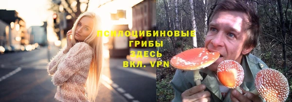 прущий лед Аркадак