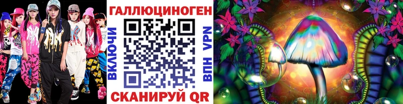 где продают   Камешково  Псилоцибиновые грибы Psilocybine cubensis 